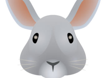 icons8-bunny-330.png