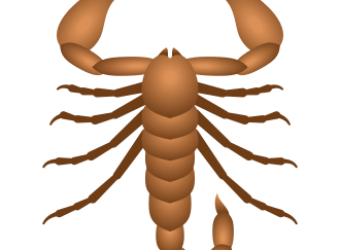 icons8-scorpion-330.png