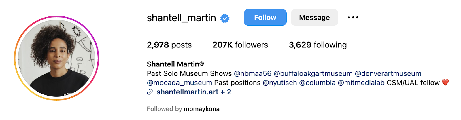 A screenshot of an instagram profile of shantell martin, a famous artist