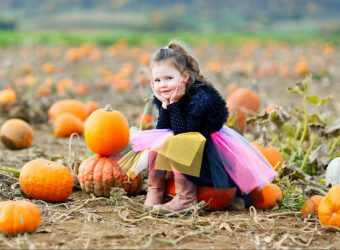 The 150+ BEST Pumpkin Patch Instagram Captions You Need This