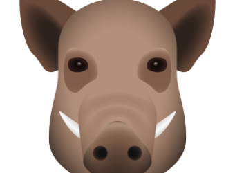 icons8-boar-350.png